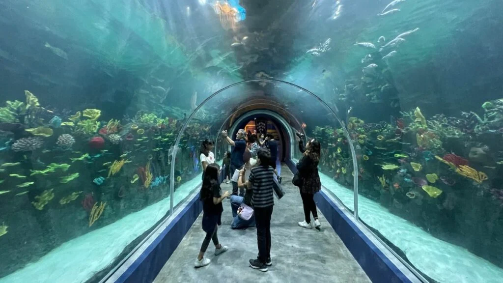 Cuánto cuesta la entrada al Acuario Michin