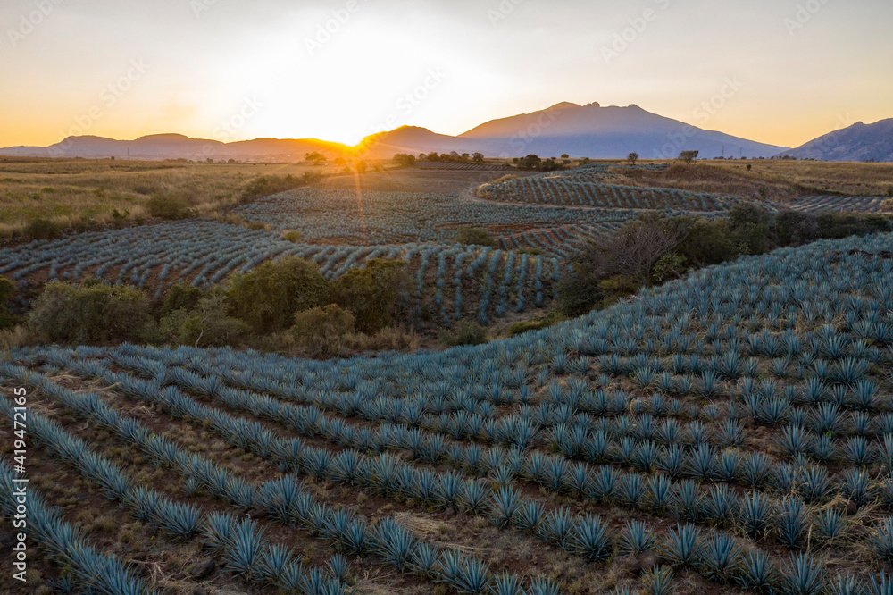 Qué hace único al tequila Volcán de Mi Tierra en el mercado