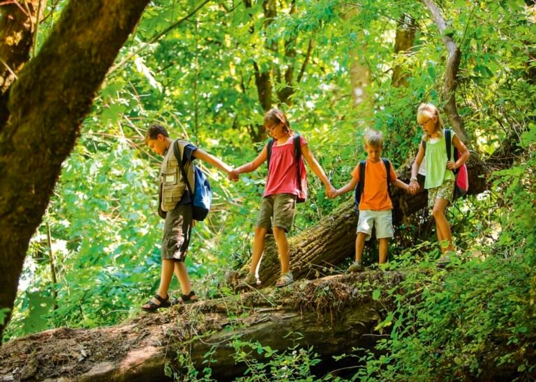 aventura en la naturaleza con amigos