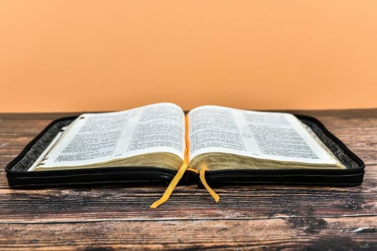 Cómo puedo seguir un plan para leer la Biblia en un año 21 biblia abierta con un marcador de pagina