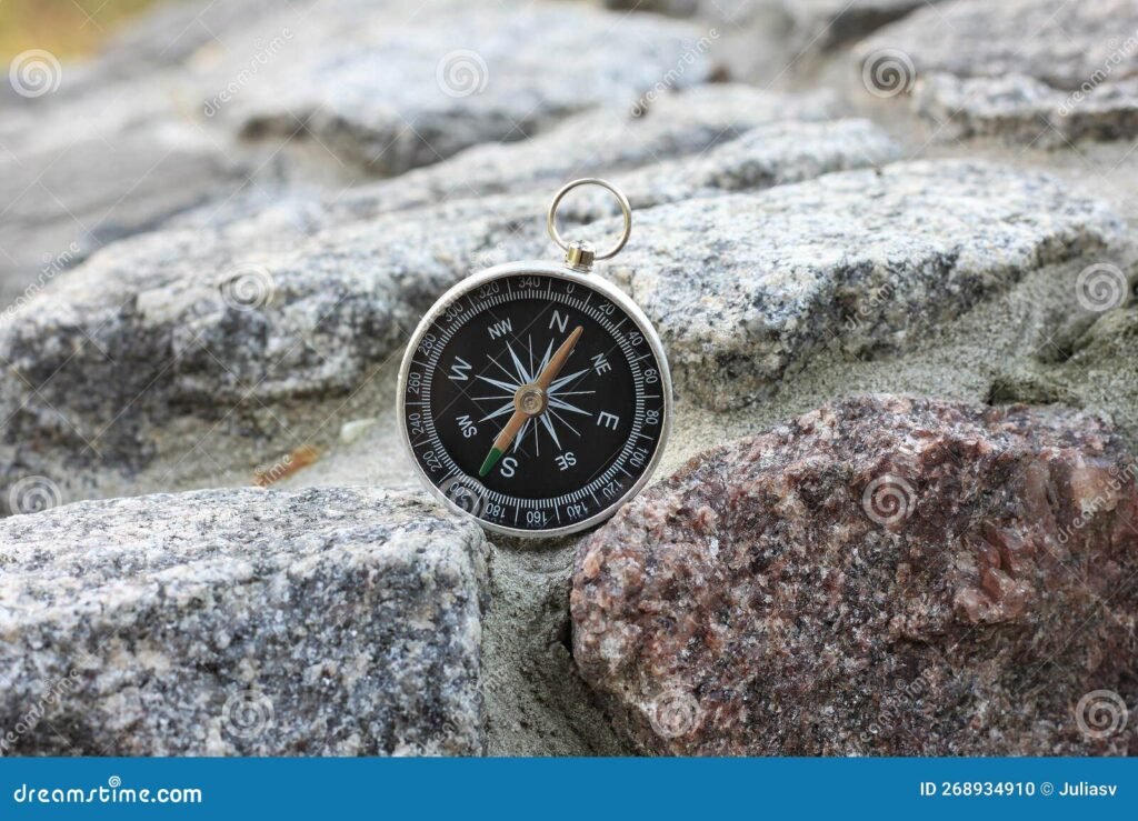 Cómo puedo ubicar los puntos cardinales de manera sencilla