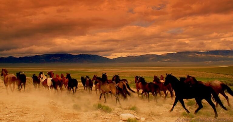 caballos en un paisaje del viejo oeste