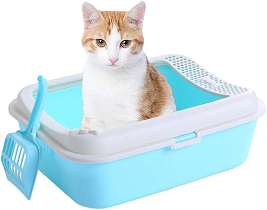 Dónde comprar Clean & Dry para mantener la arena de tu gato 3 Dónde comprar Clean & Dry para mantener la arena de tu gato
