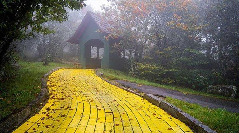 camino de baldosas amarillas y paisajes magicos