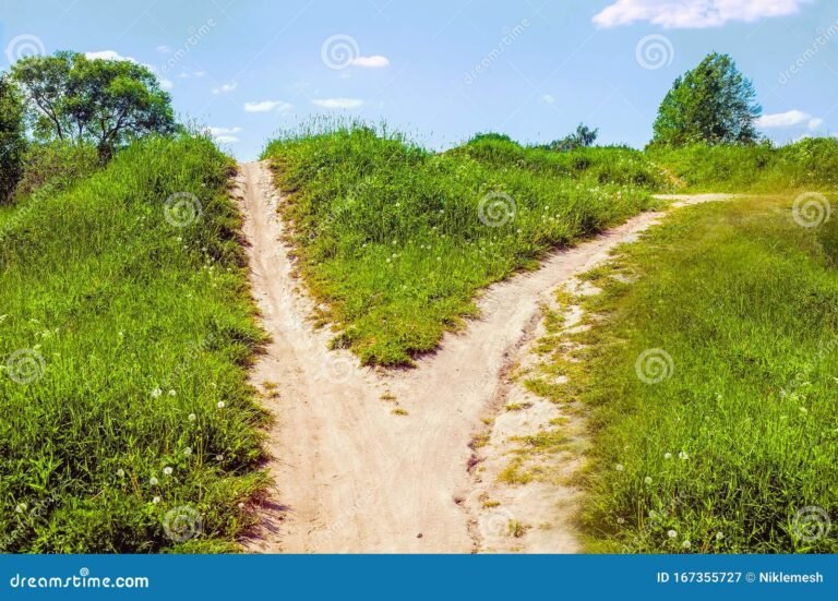 Qué significan los versos del poema "The Road Not Taken" de Robert Frost 22 camino en un bosque con bifurcaciones