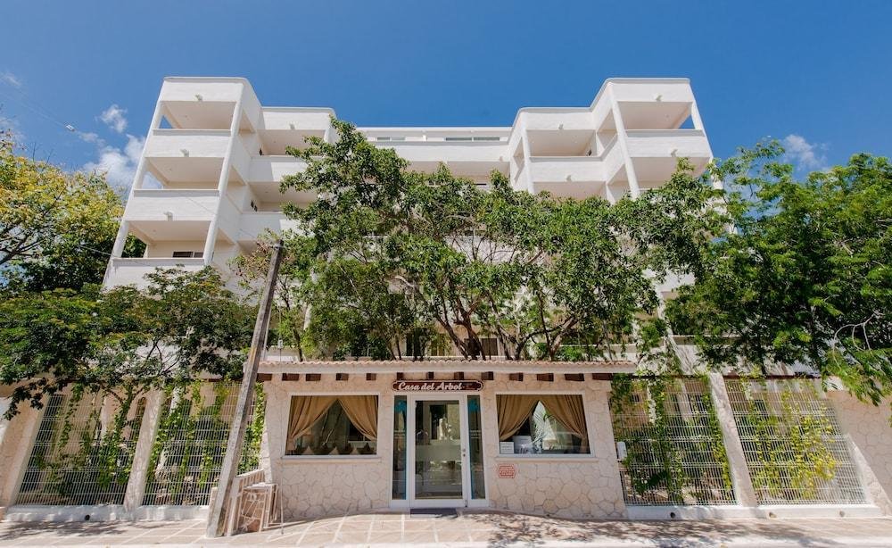 Dónde encontrar la famosa casa del árbol en Playa del Carmen