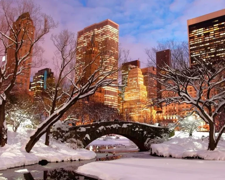 central park nevado en navidad