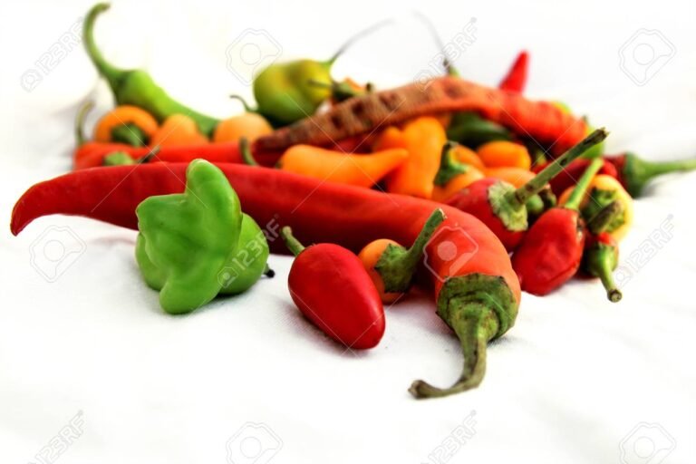 chiles picantes sobre fondo colorido