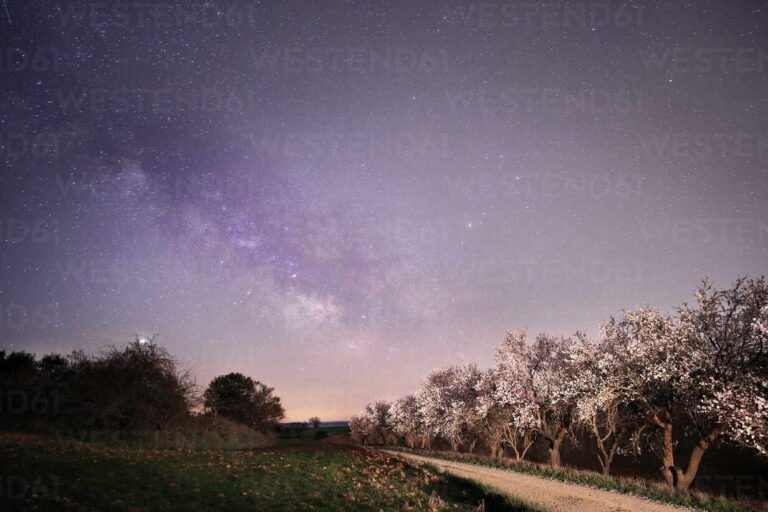 cielo estrellado sobre un paisaje sereno