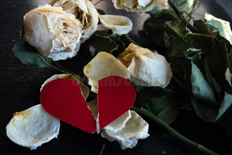 Cómo puedo desapegarme de una persona que amo sin lastimarla 24 corazon roto con flores marchitas 3
