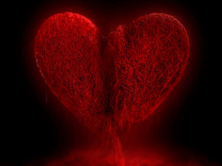 corazon roto sobre un fondo romantico