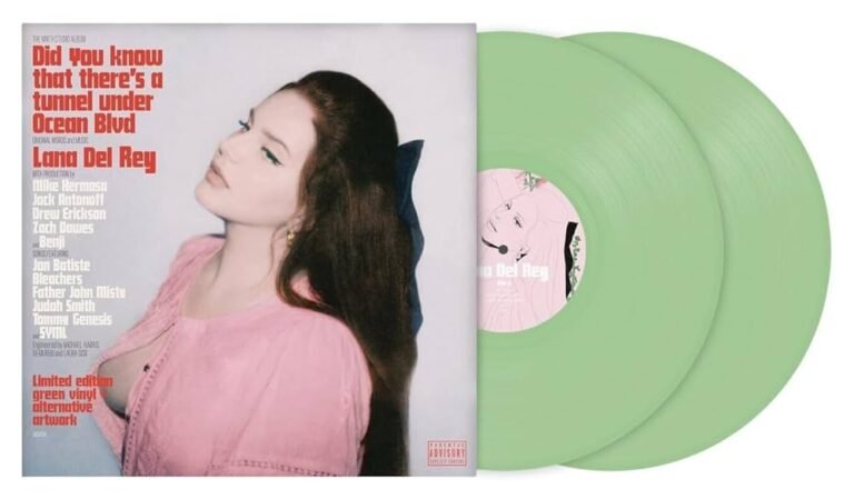 disco de vinilo de lana del rey