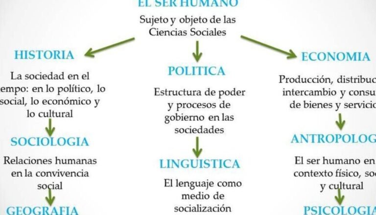diversas disciplinas en ciencias politicas