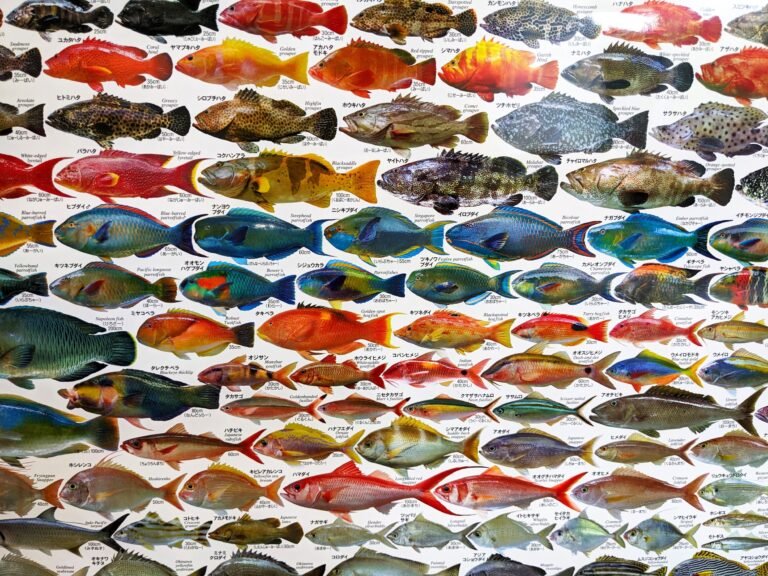 Qué enseña "One Fish, Two Fish, Red Fish, Blue Fish" de Dr. Seuss 25 diversidad de peces en un colorido mar