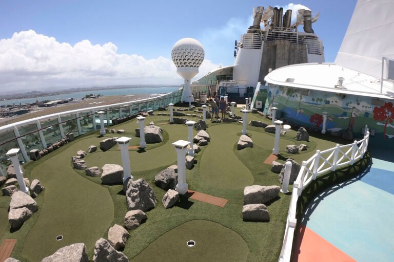 diversion en el crucero freedom of the seas