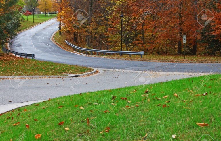 dos caminos que se cruzan en el bosque