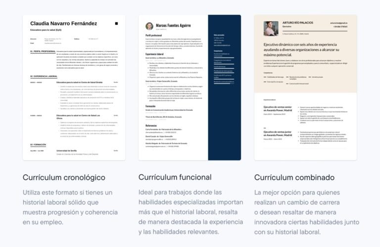 Qué Información Debo Incluir en Mi Curriculum Vitae para Impactar 28 ejemplo de curriculum vitae atractivo