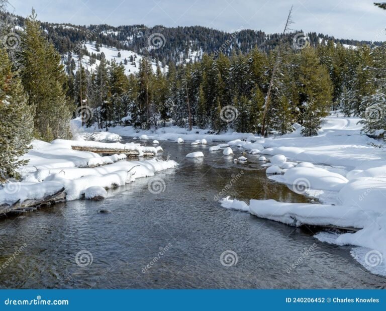 escena de la naturaleza en rio frio