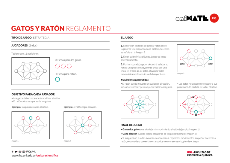 gato jugando con estrategias ganadoras