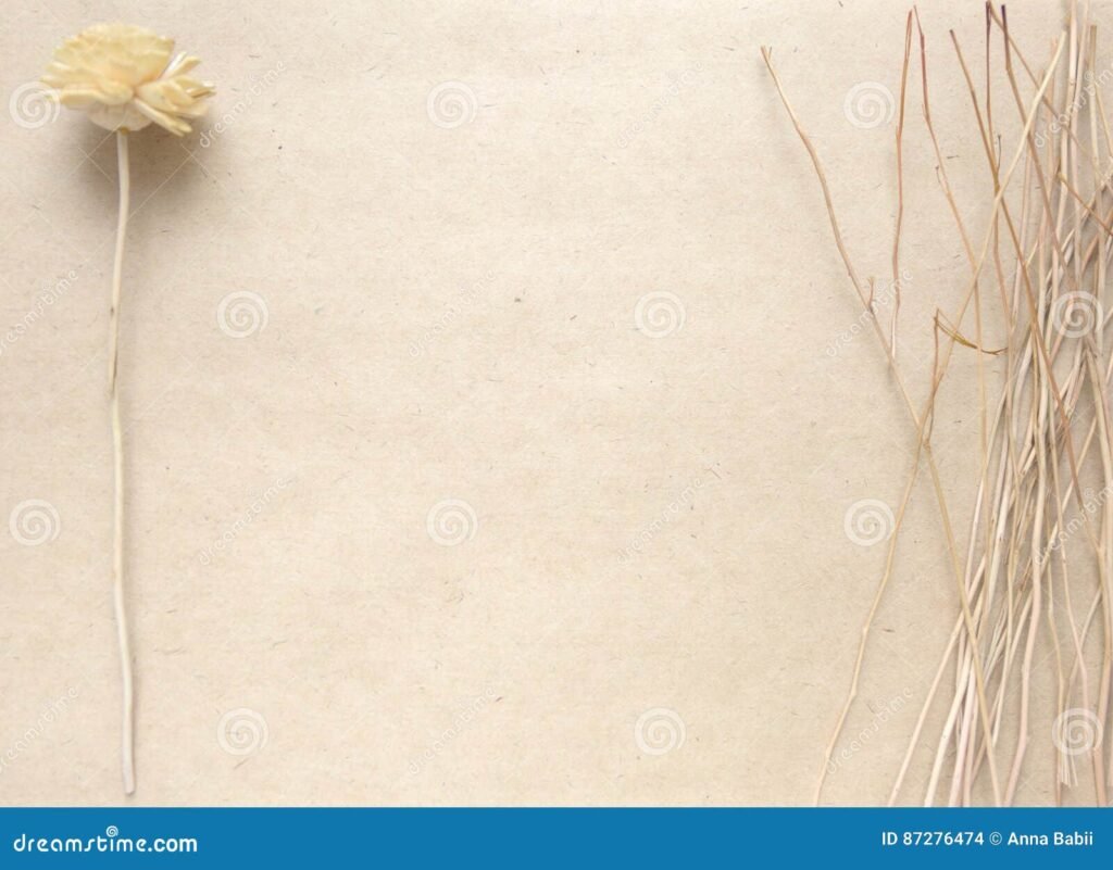 Qué usos creativos puedo darle a una hoja de papel en blanco 4 Qué usos creativos puedo darle a una hoja de papel en blanco