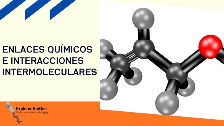 interaccion molecular entre particulas cercanas