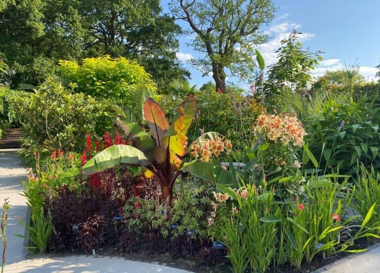 jardin tropical con flores vibrantes