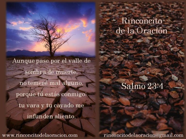 la traicion en la sombra de la fe