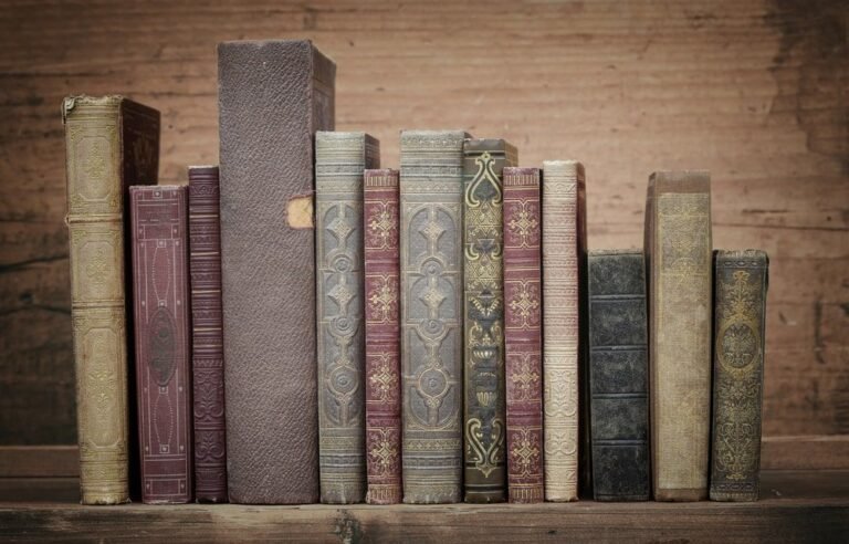 libreria antigua con libros clasicos expuestos