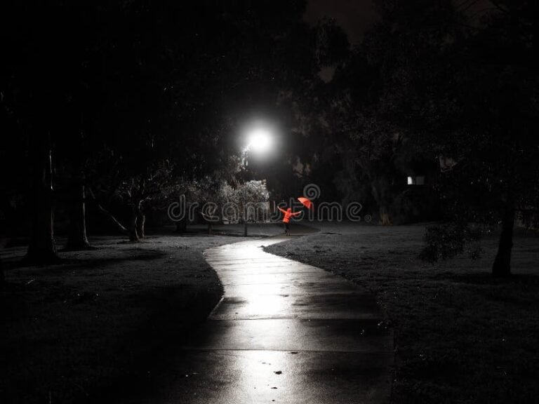 luz de luna sobre un camino oscuro