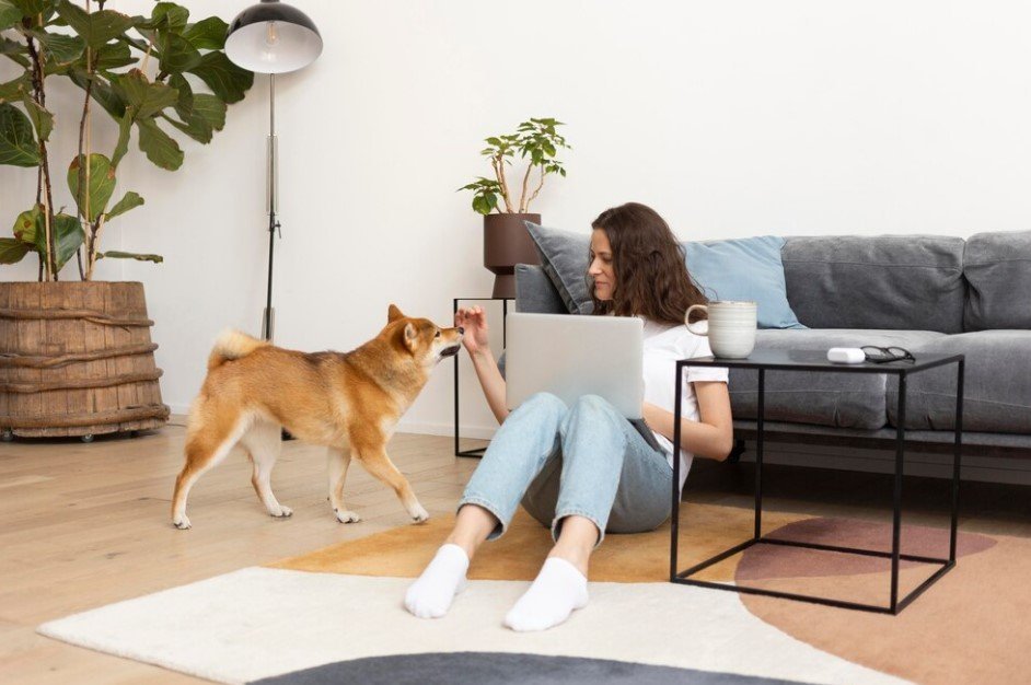 Qué servicios ofrece Cuidado con el Perro en Santa Fe 3 Qué servicios ofrece Cuidado con el Perro en Santa Fe