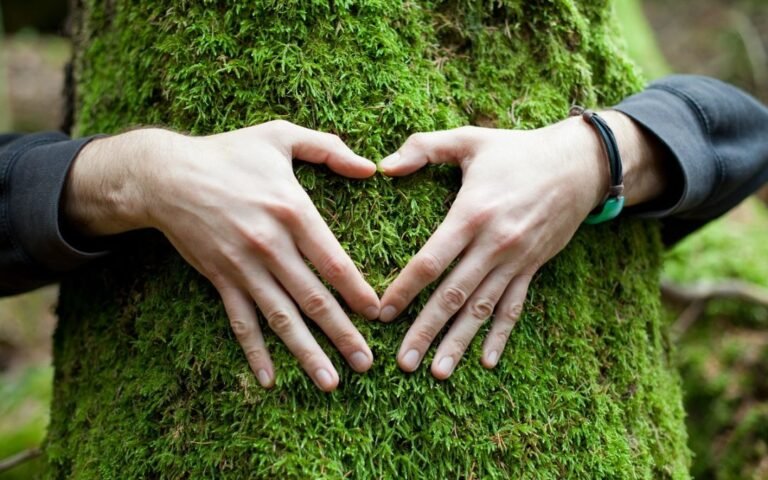 Piensa lo bueno y se te dará: cómo aplicar esta filosofía en tu vida 28 mente positiva y naturaleza en armonia