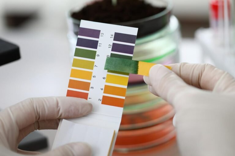 Cómo medir el pH del suelo de manera sencilla y efectiva 27 muestra de tierra con medidor de ph