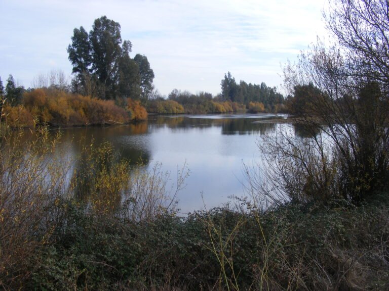 naturaleza exuberante en el valle del guadiana