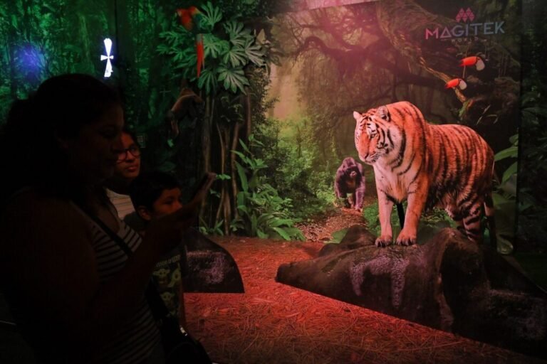 naturaleza magica con animales y aventuras