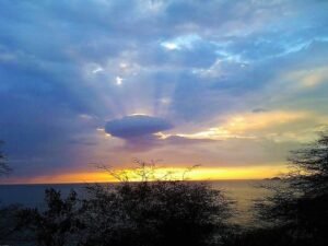 naturaleza melancolica al atardecer