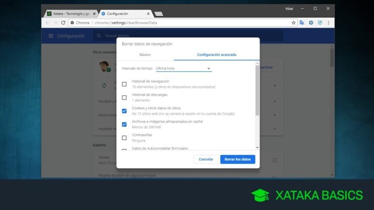 navegador limpiando cache y cookies