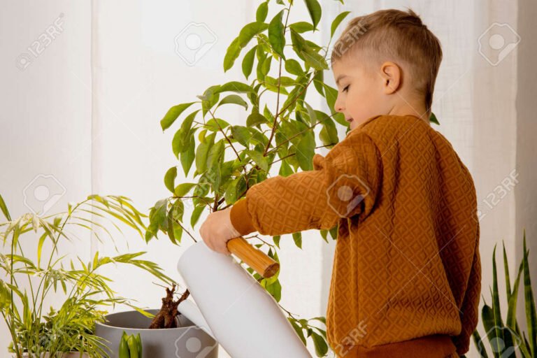 nino cuidando una planta en su hogar