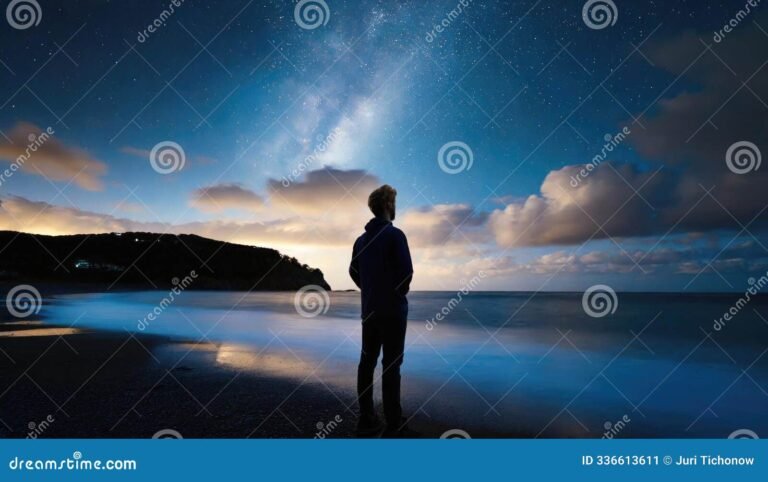 oceano reflejando un cielo estrellado