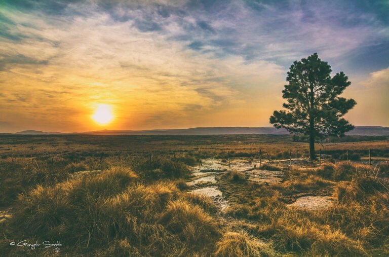 Por qué "Otra vez será" de Leonardo Fabio es una canción tan emblemática 17 paisaje nostalgico al atardecer