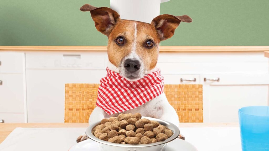 Qué beneficios ofrece el alimento para perro Full Life 7 Qué beneficios ofrece el alimento para perro Full Life