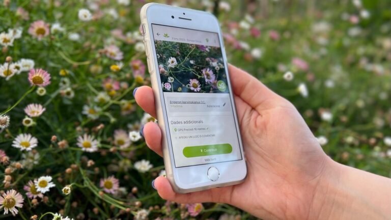 Cómo saber el nombre de una planta con aplicaciones móviles 22 persona usando una app de identificacion de plantas