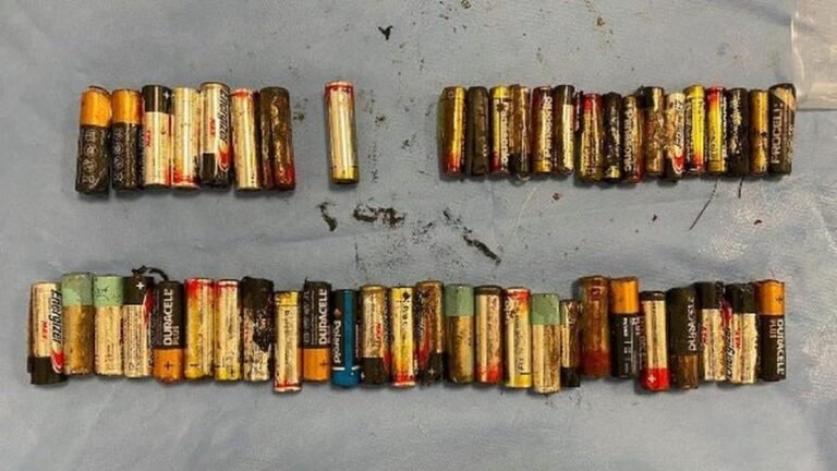 Las pilas Duracell son realmente recargables o desechables 2 pilhas duracell en entornos naturales
