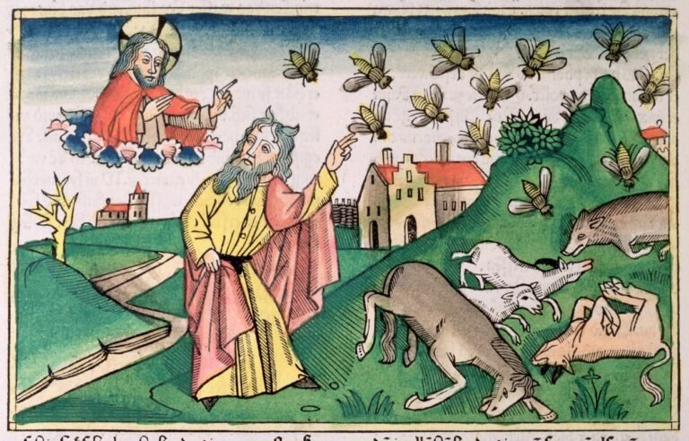 plagas de egipto en ilustracion artistica