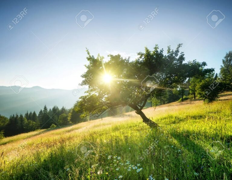 rayo de sol en un hermoso paisaje