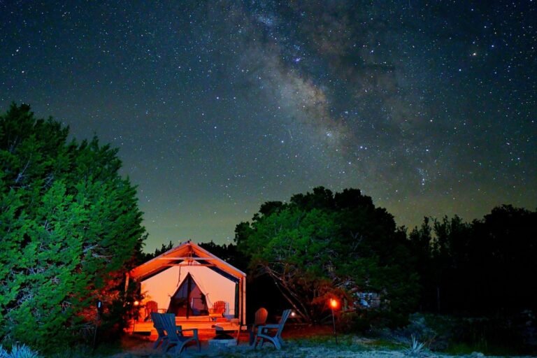 saba volando en un cielo estrellado