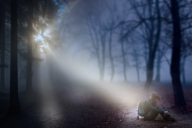 silencio en un bosque con luz mistica