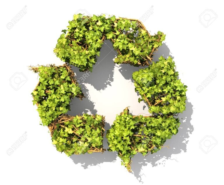 Qué Significa Reducir, Reutilizar y Reciclar en el Cuidado del Planeta 21 simbolos de reciclaje sobre un fondo natural