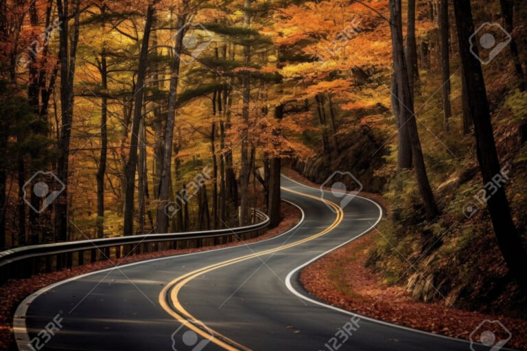 un camino rodeado de naturaleza vibrante