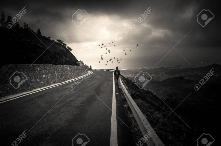 Qué Significa "Call It What You Want" y Cuál es Su Contexto 22 un camino solitario hacia el horizonte