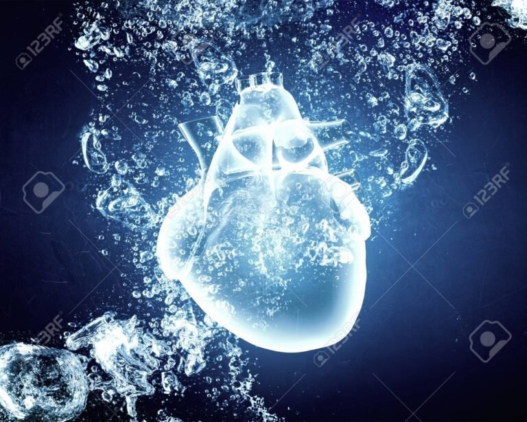 un corazon humano en el agua
